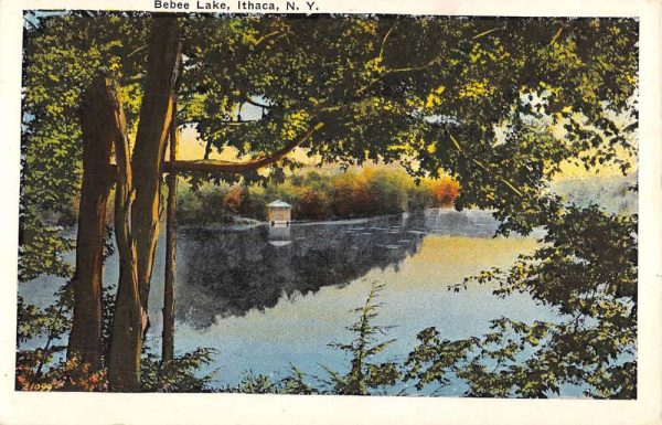 Ithaca New York Bebee Lake Waterfront Antique Postcard K106287