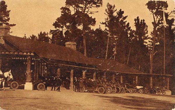 Monterey County California Pine Forest Pebble Beach Antique Postcard K106871