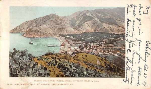 Santa Catalina Island California Avalon Detroit Pub Antique Postcard K106994