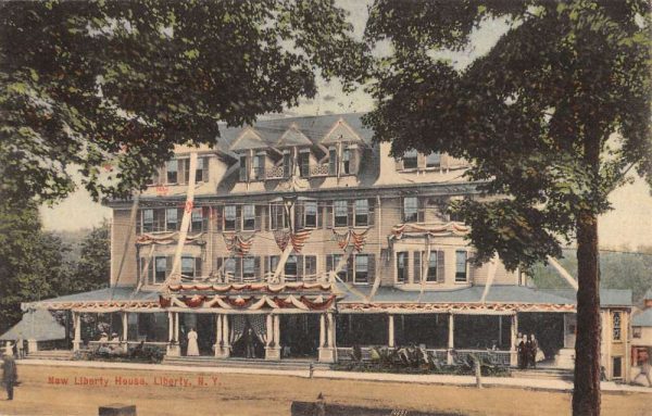 Liberty New York New House Street View Antique Postcard K107538