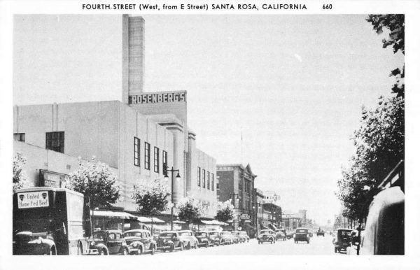 Santa Rosa California Fourth Street Scene Antique Postcard K107655