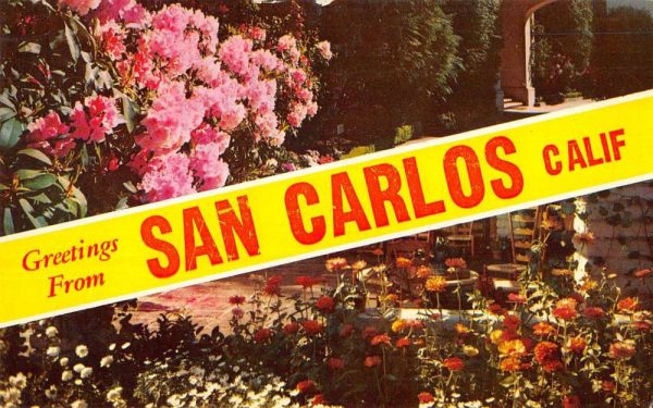 San Carlos California Greetings From garden scene flowers vintage pc Z51253