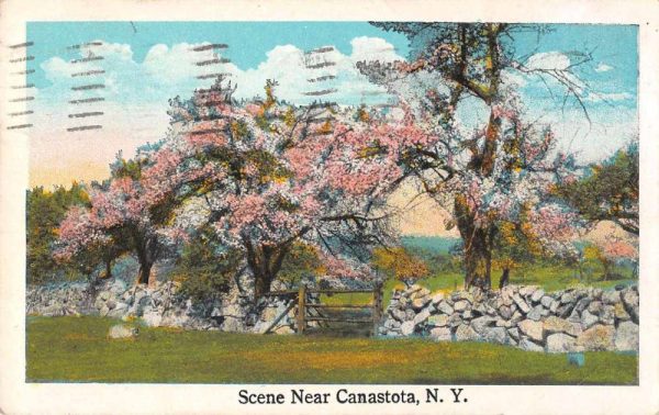 Canastota New York Scenic View Vintage Postcard JC932812