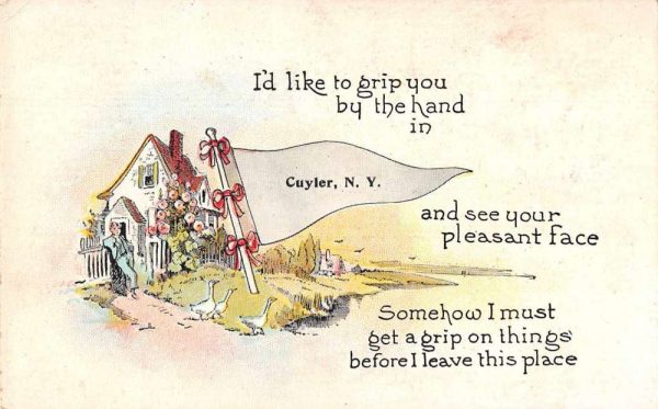 Cuyler New York Greetings Pennant Flag Cottage Ducks Postcard JD933423