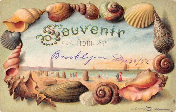 Brooklyn New York Beach Scene Sea Shell Border Vintage Postcard JE229005