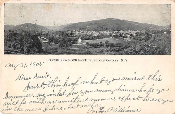 Sullivan County New York Roscoe and Rockland Birds Eye View Postcard JE229598