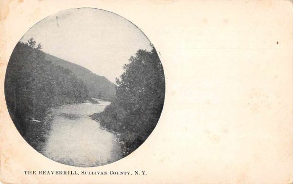 Sullivan County New York The Beaverkill Scenic View Vintage Postcard JE229603