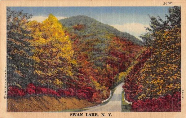 Swan Lake New York Greetings Road Scenic Vintage Postcard JE229615