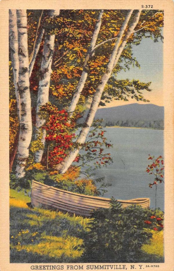 Summitville New York Greetings Row Boat Vintage Postcard JE229616