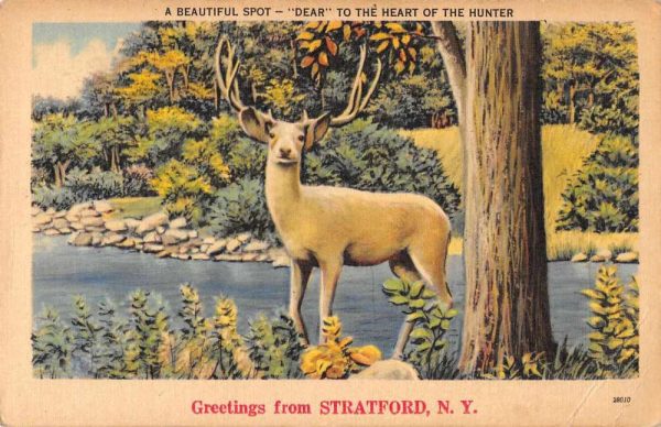 Stratford New York Greetings Deer Elk Vintage Postcard JE229617