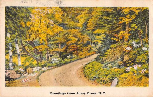 Stony Creek New York Greetings Road Scenic Vintage Postcard JE229618