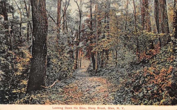 Glen New York Stony Brook Forest View Vintage Postcard JE229619