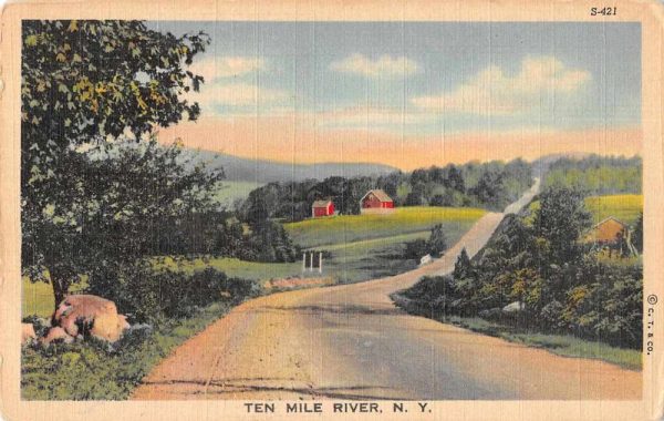 Ten Mile River New York Greetings Road Scenic Vintage Postcard JE229627