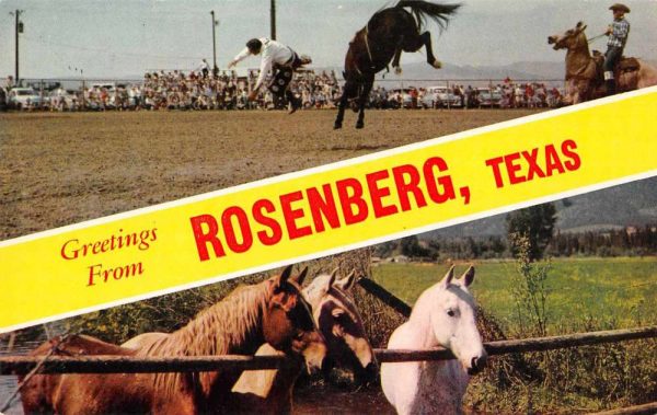 Rosenberg Texas Greetings Rodeo Scene Vintage Postcard JF686301