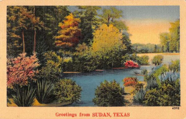 Sudan Texas Greetings Scenic View Vintage Postcard JF686302