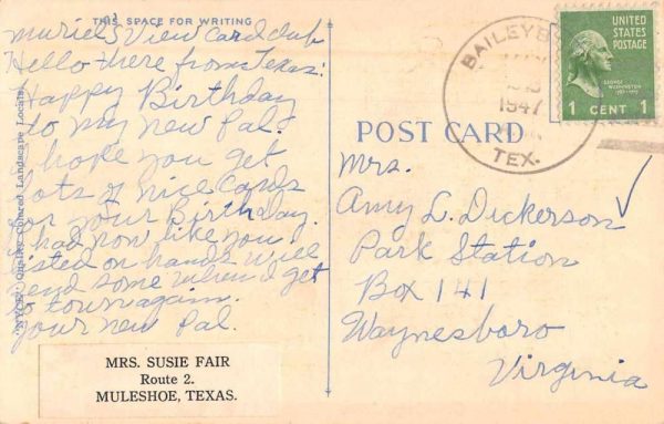 Sudan Texas Greetings Scenic View Vintage Postcard JF686302 - Image 2