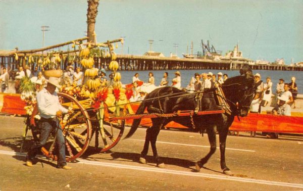 Santa Barbara California Fiesta Time horse & 2-wheel wagon vintage pc ZA440876