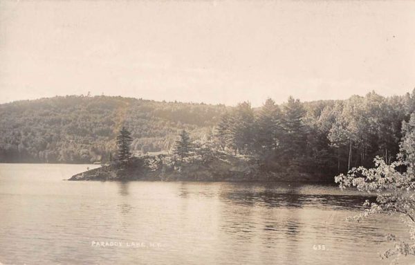 Paradise Lake New York panoramic view over lake real photo pc ZA441318