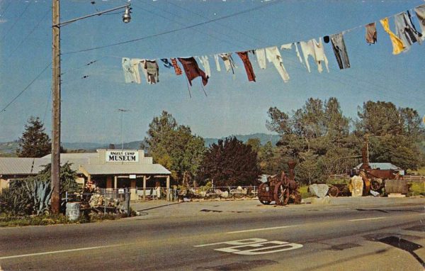 Angels Camp California home of Int'l Jumping Frog Jubilee vintage pc ZA441372