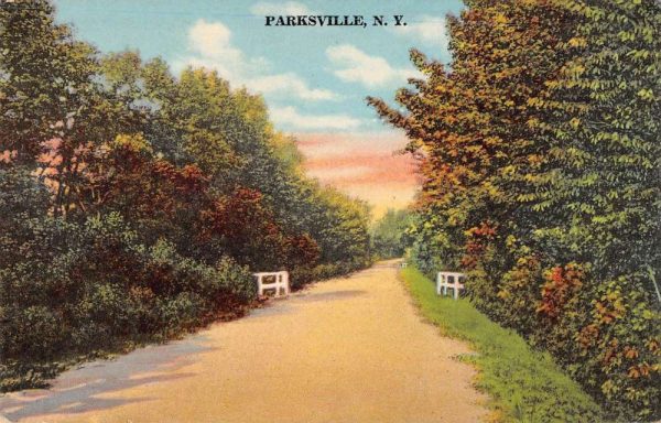 Parksville New York scenic birds eye view tree lined road antique pc ZA441398