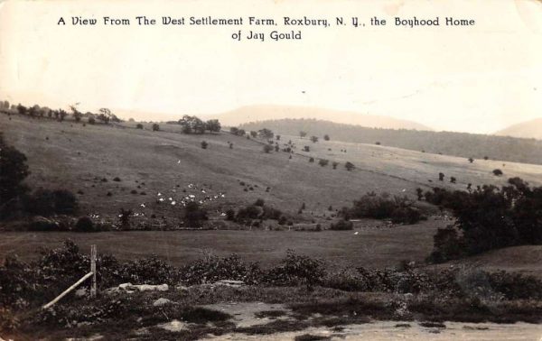 Roxbury New York view from West Settlement Farm real photo pc ZA441514