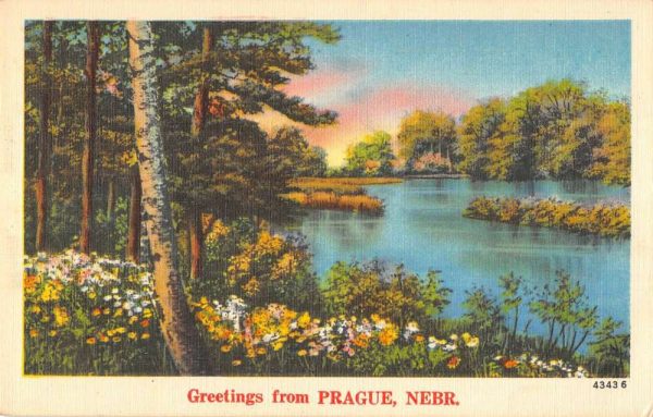 Prague Nebraska Greetings From scenic view lake from shore antique pc ZC548627