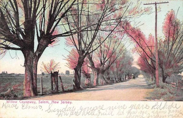 Salem New Jesery Willow Causeway Street Scene Vintage Postcard JG236780