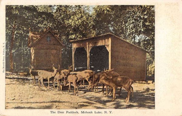 Mohonk Lake New York birds eye view Deer Paddock antique pc ZC548786