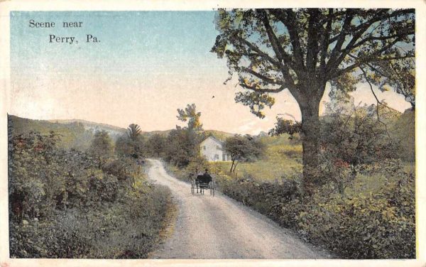 Perry Pennsylvania Road Scenic View Horse Carriage Vintage Postcard JH230649