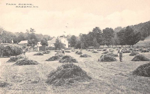 Nassau New York Farm Scene Wheat Field Vintage Postcard JI658239