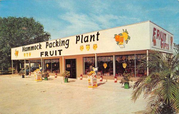 Largo Florida birds eye view Warren Hammock Pack Plant vintage pc ZE686129