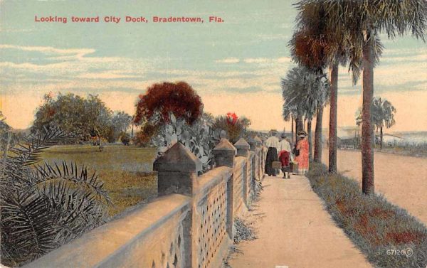 Bradentown Florida Looking Toward City Dock Vintage Postcard JJ658958