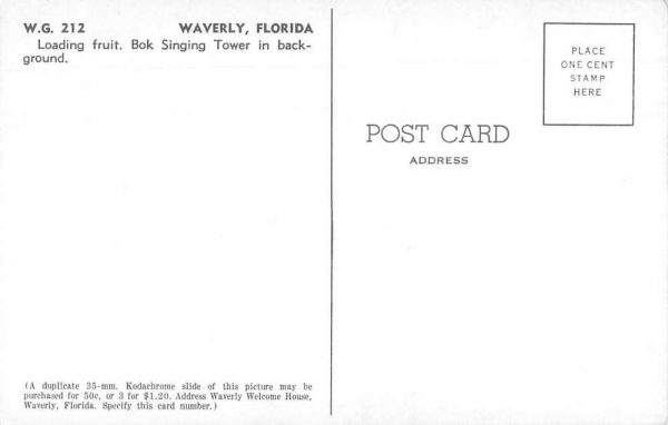 Waverly Florida Waverly Growers Orange Orchard Loading Fruit Postcard JJ658965 - Image 2