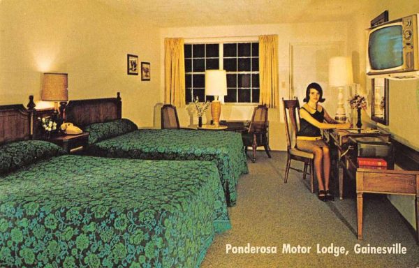 Gainesville Florida Ponderosa Motor Lodge Room Interior Postcard JJ658973