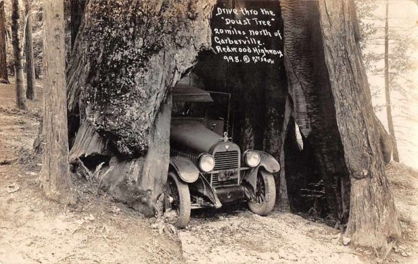 Garberville California Redwood Highway Drive Through Real Photo PC JJ649272