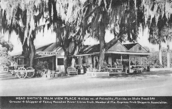 Palmetto Florida view of Mead Smith's Palm View Place antique pc ZE686470