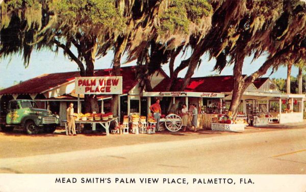 Palmetto Florida street scene Mead Smith's Palm View Place vintage pc ZE686528