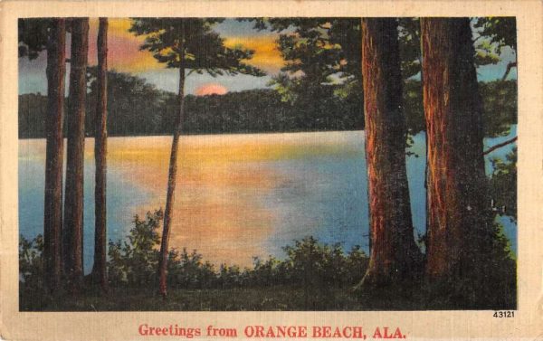 Orange Beach Alabama birds-eye view forest lake greetings from antique pc CC7