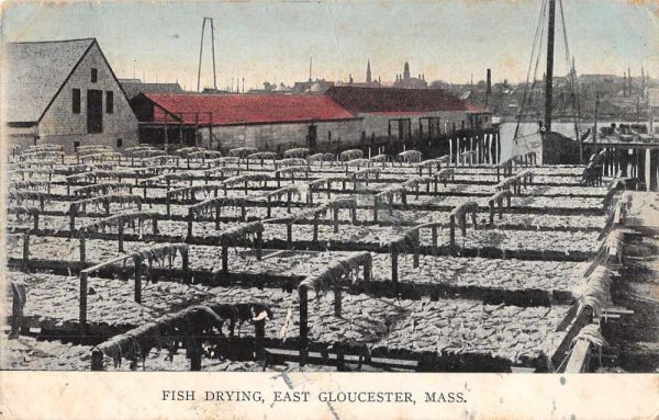 East Gloucester Massachusetts Fish Drying Fishing Vintage Postcard AA94