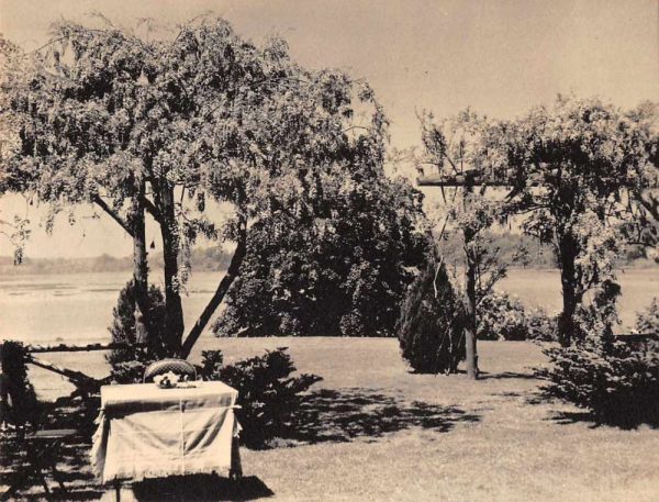 Smithtown New York Oakside Wysteria Pergola Real Photo Postcard AA127