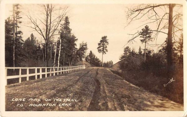 Houghton Lake Michigan Lone Pine on the Trail Real Photo Vintage Postcard AA573