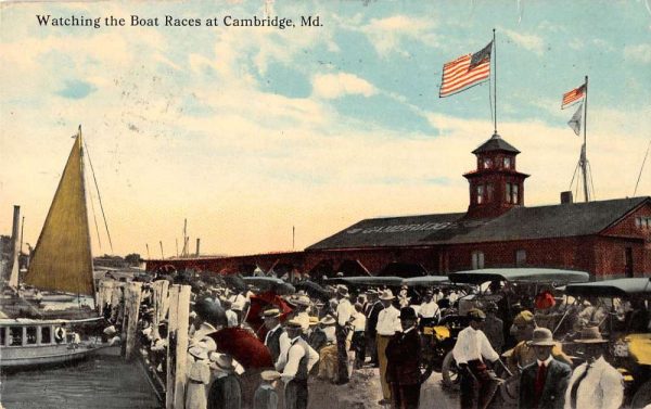 Cambridge Maryland spectators watching boat races antique pc BB340