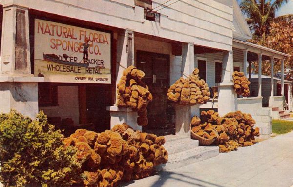 Key West Florida view of Natural Florida Sponge Co vintage pc BB813