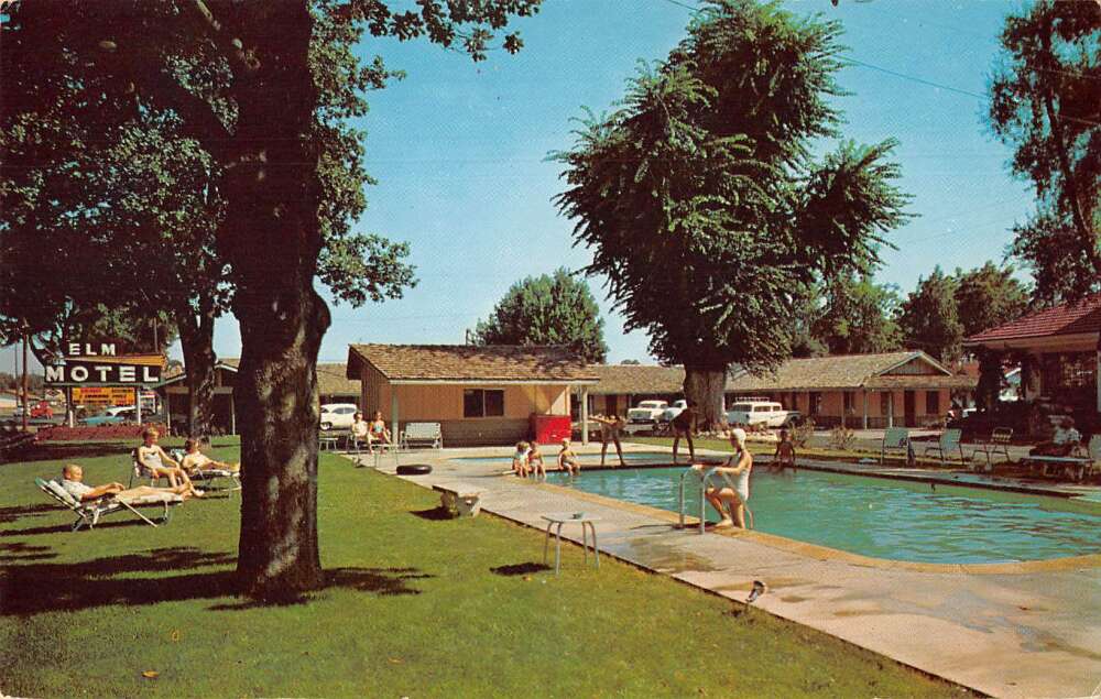 Chico California Elm Motel Swimming Pool Vintage Postcard AA33012