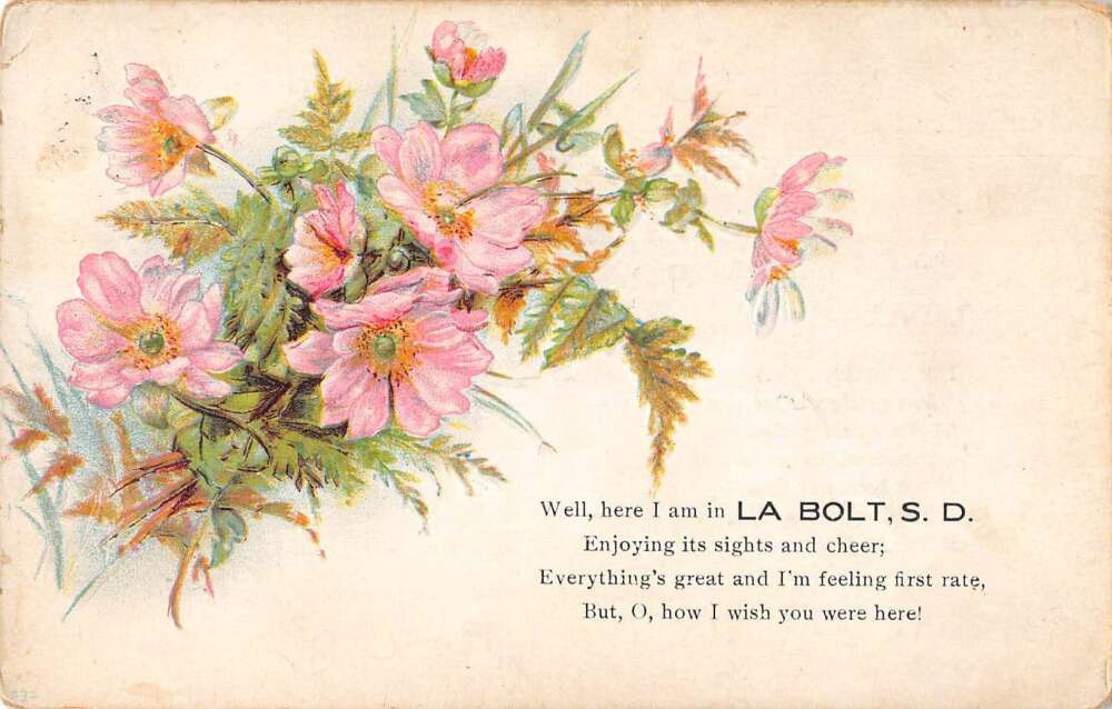 Vintage Postcards – Still Blooming co