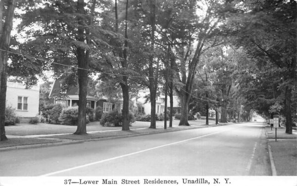 Unadilla New York Lower Main Street Residence Area Real Photo Postcard AA64507