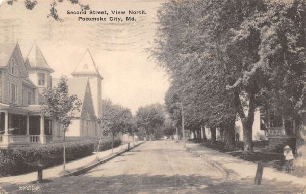 Pocomoke City Maryland Second Street View North Vintage Postcard AA65021