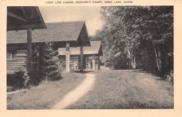 Sebec Lake Maine Packard's Camps Log Cabins, Sepia Photo Print Vintage PC U8327