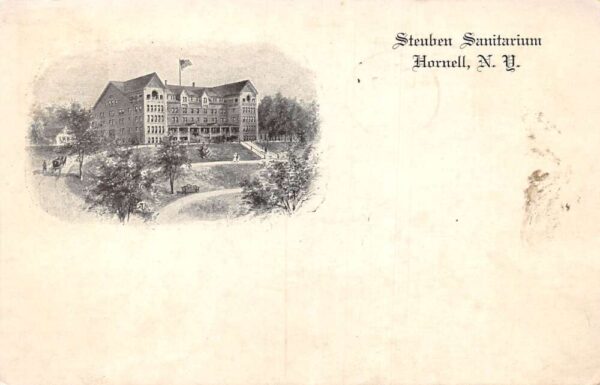 Hornell New York Steuben Sanitarium Vintage Postcard AA75377