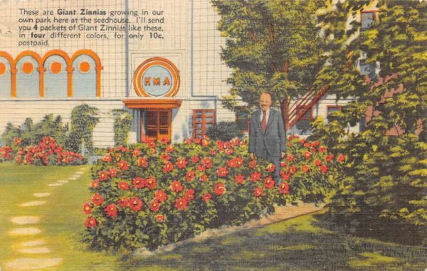 Shenandoah Iowa Earl E May Seed Co Zinnia Flowers Ad Postcard AA79753